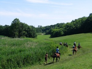 Horse Riding in Hungary